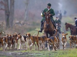 Lire la suite à propos de l’article Repas de chasse