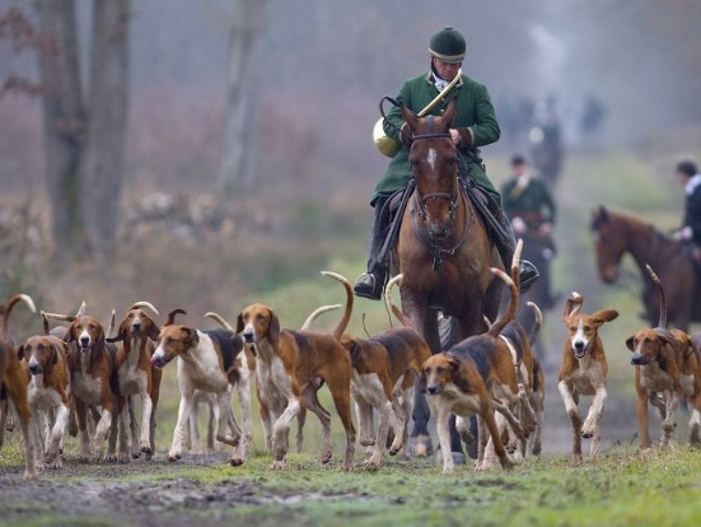 You are currently viewing Repas de chasse
