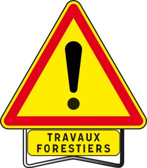 You are currently viewing Travaux dans les massifs forestiers: nouvel arrêté