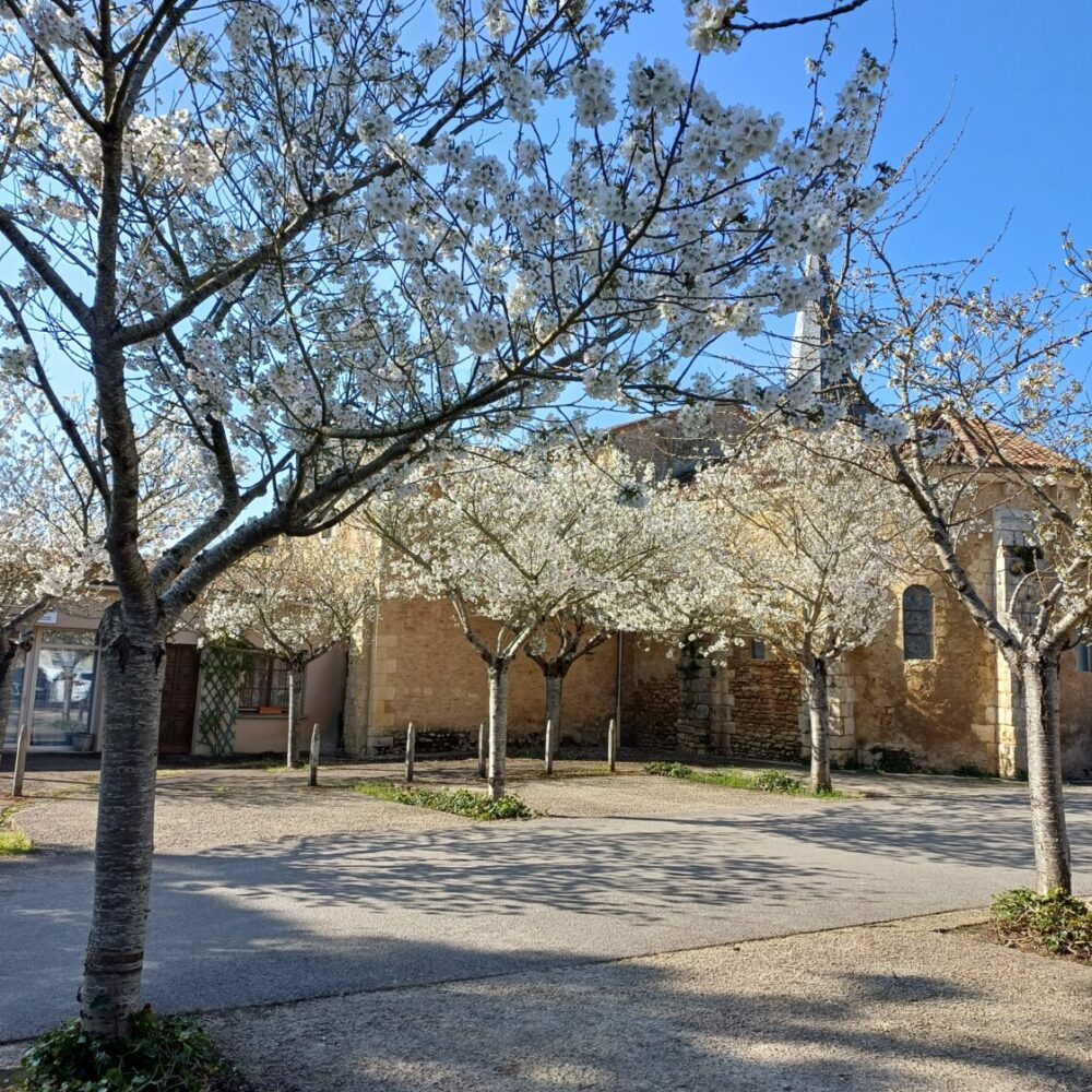 Moncontour