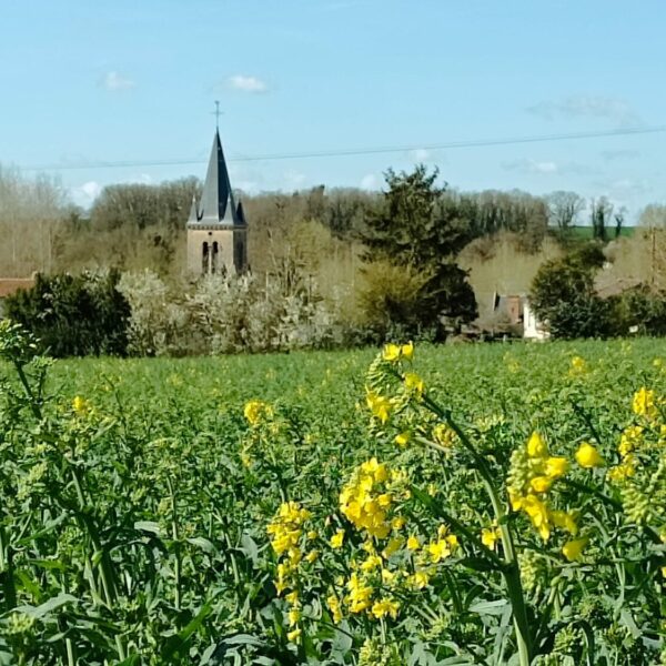 Saint-Chartres